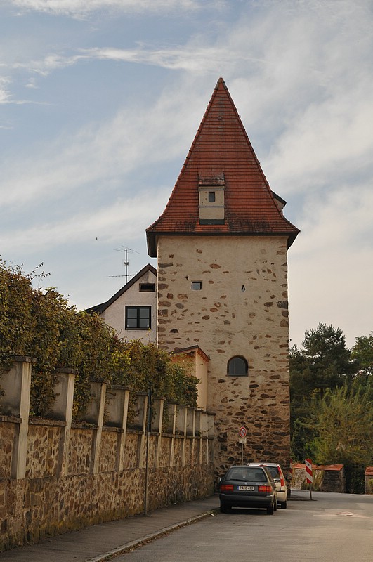 DSC_6295.JPG