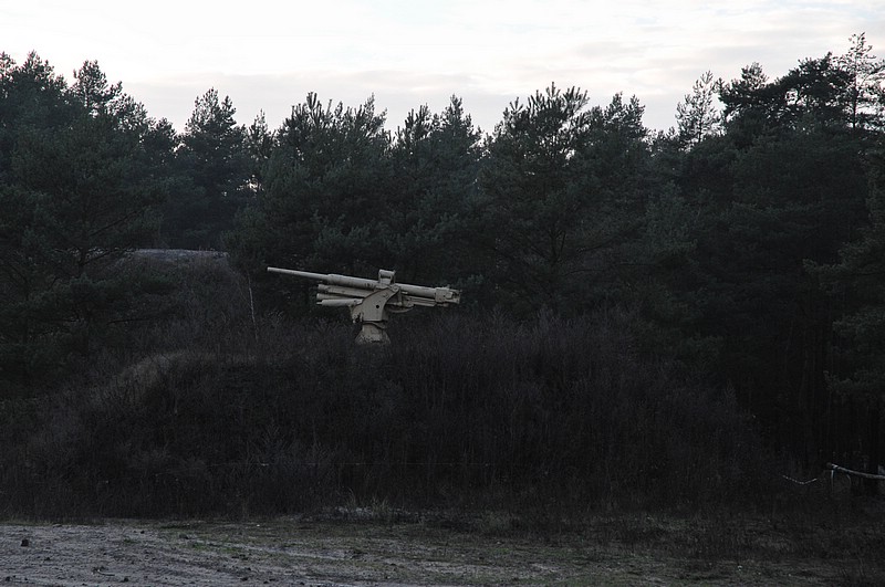 DSC_3494.JPG