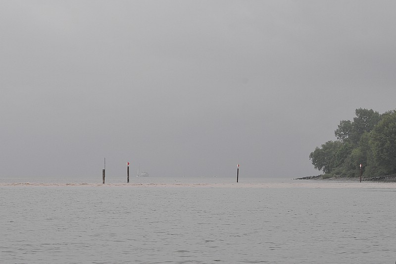 DSC_8022CD.jpg