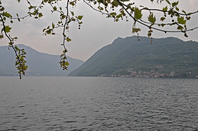 DSC_6136E.jpg
