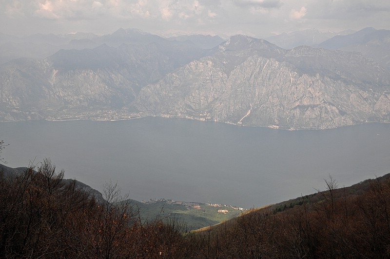 DSC_6237E.jpg