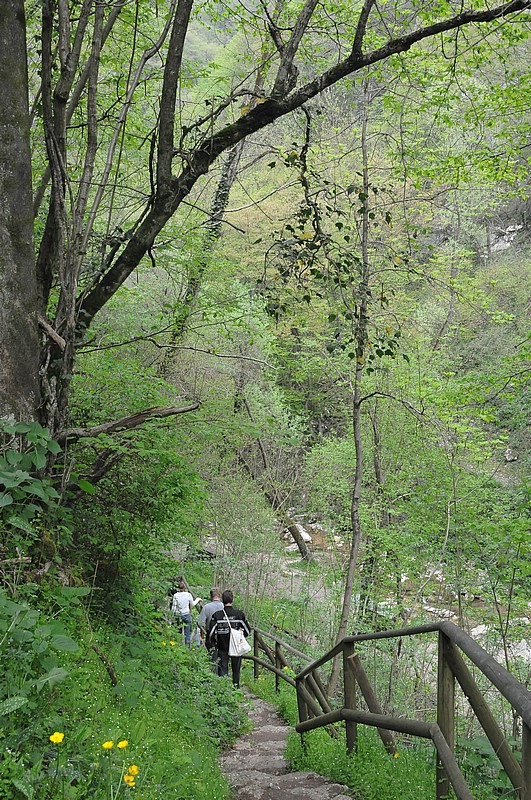 DSC_6265.JPG
