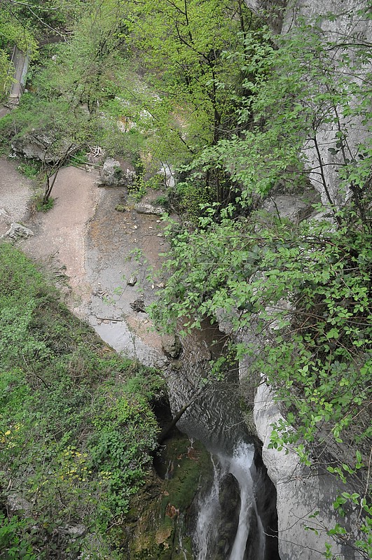 DSC_6288.JPG