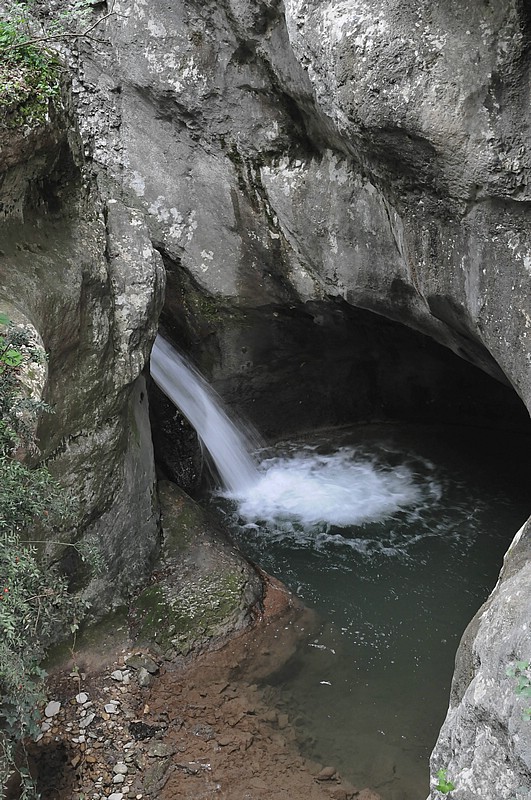 DSC_6290.JPG