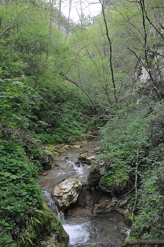 DSC_6299.JPG