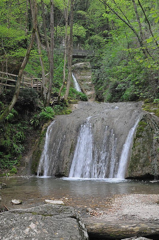 DSC_6301.JPG