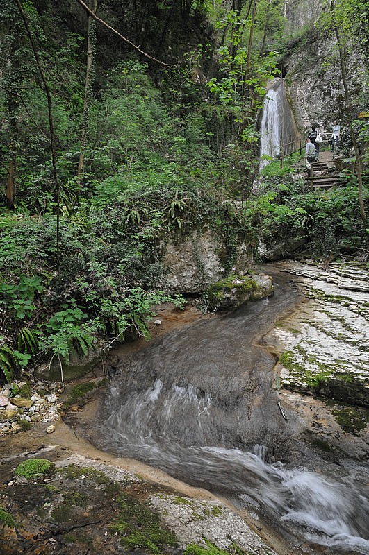 DSC_6316.JPG