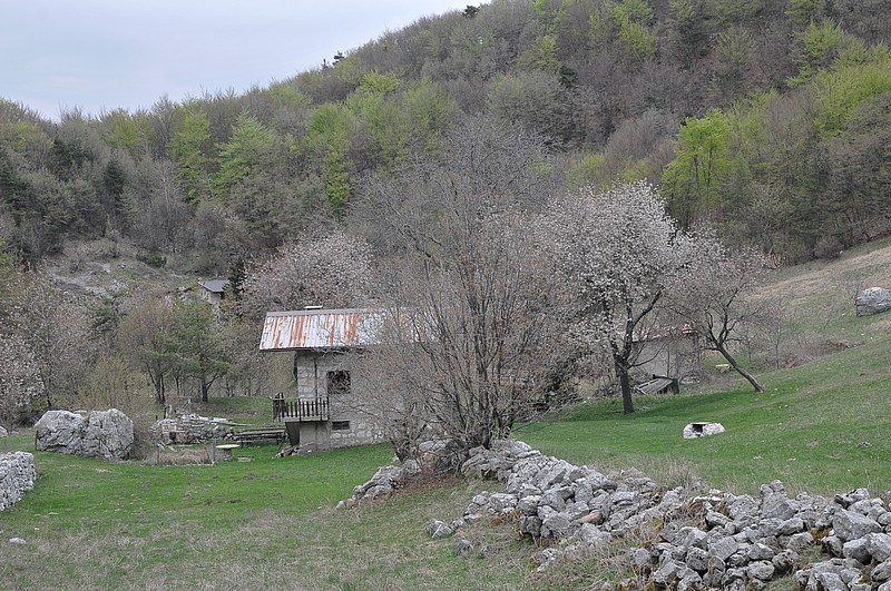 DSC_6422.JPG