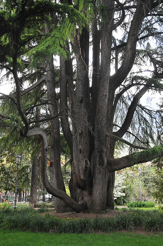 DSC_6493.JPG