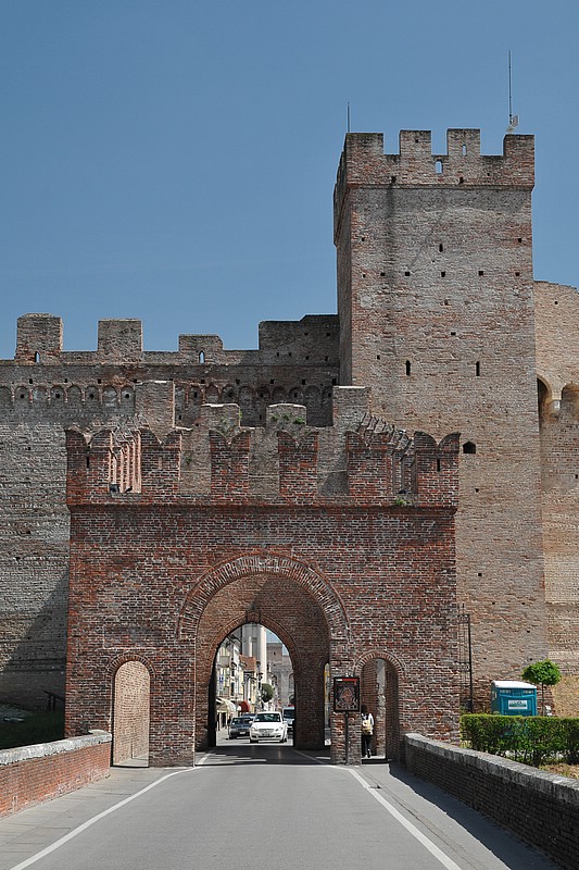 DSC_6549D.jpg