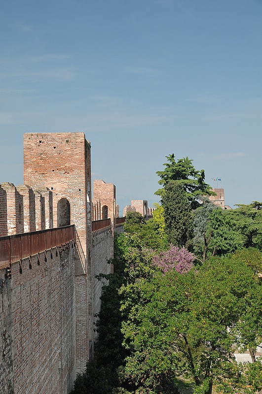 DSC_6637.JPG