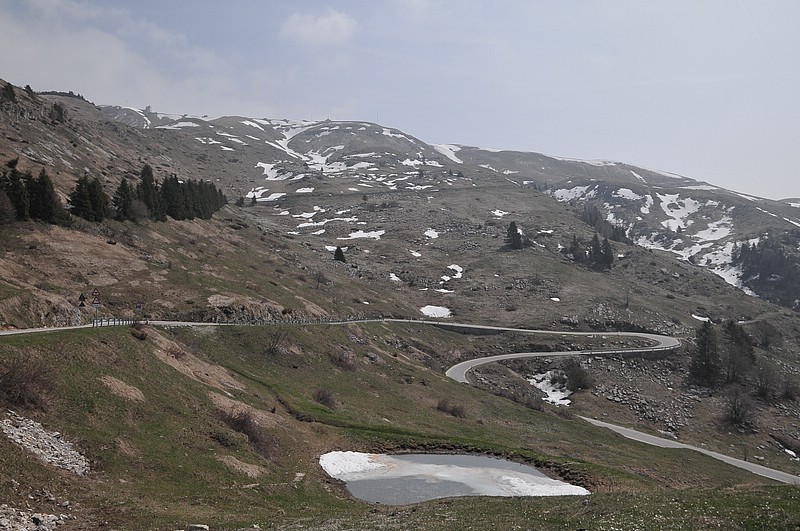 DSC_7488.JPG