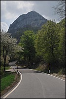 DSC_6250.JPG