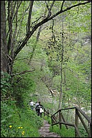 DSC_6265.JPG