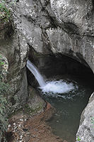 DSC_6290.JPG
