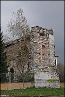 DSC_6391.JPG