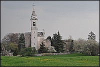 DSC_6393.JPG