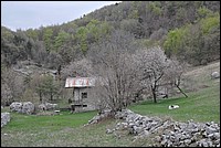 DSC_6422.JPG