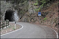 DSC_6457.JPG