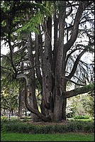 DSC_6493.JPG