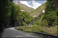 DSC_6545E.jpg