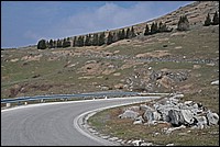 DSC_7486E.jpg
