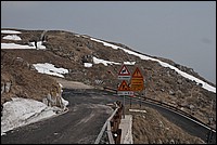 DSC_7538.JPG