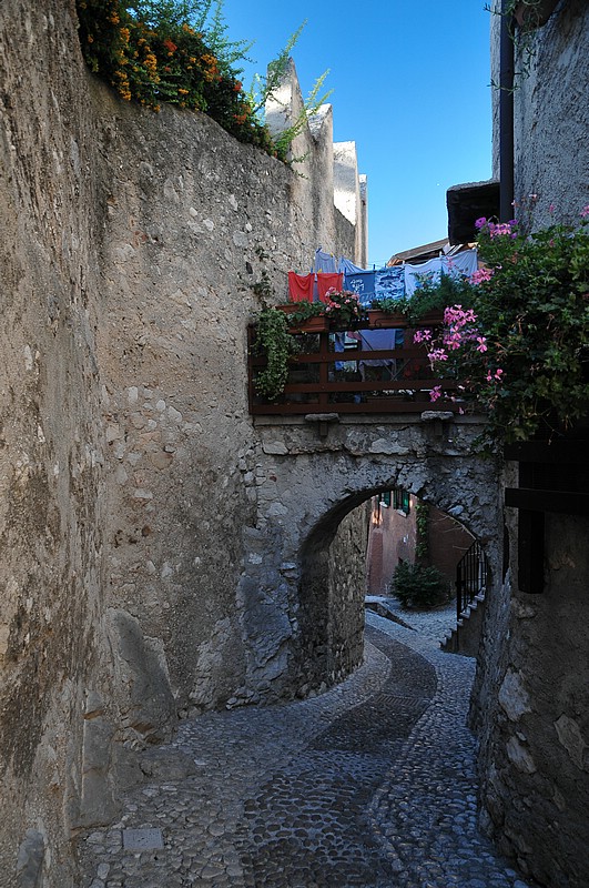 DSC_0733.JPG