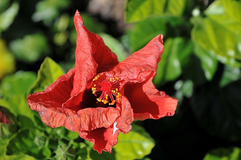 DSC_0848.JPG