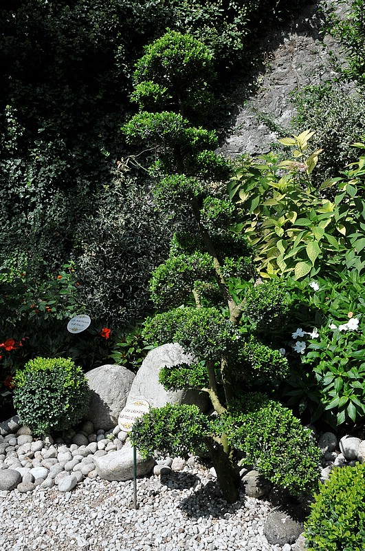 DSC_0859.JPG