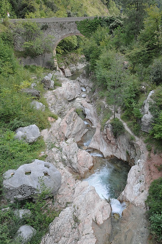DSC_1187.JPG