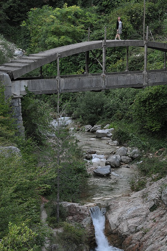 DSC_1206.JPG