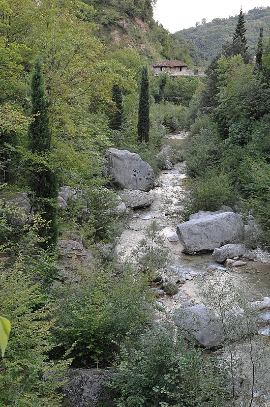 DSC_1221.JPG