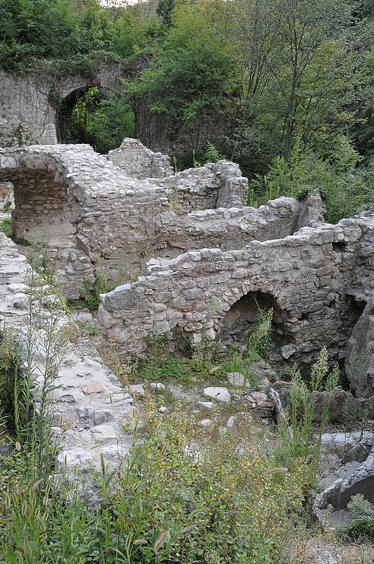 DSC_1227.JPG