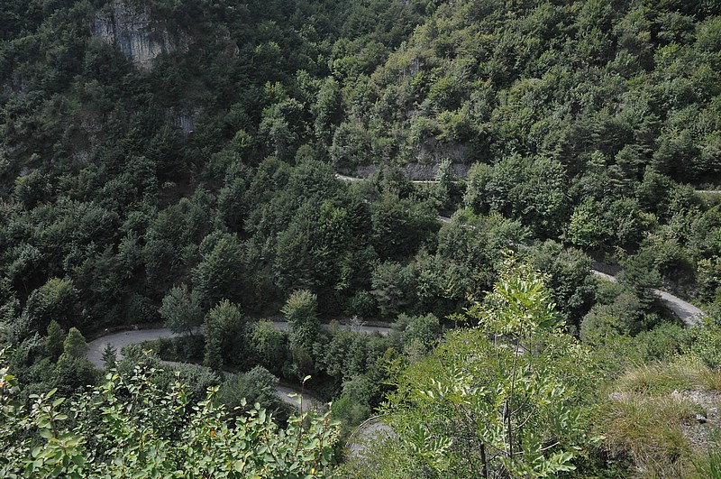 DSC_1274.JPG