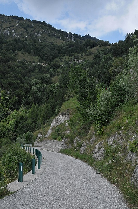 DSC_1281.JPG
