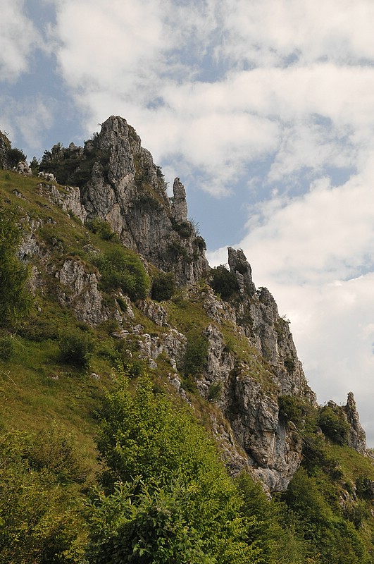 DSC_1285.JPG