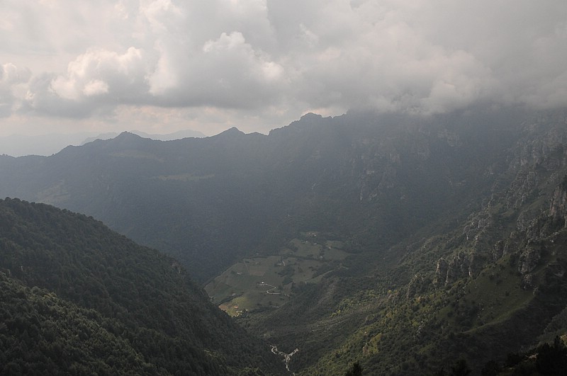 DSC_1291.JPG