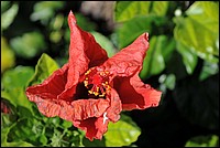 DSC_0848.JPG