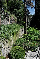 DSC_0850.JPG