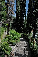 DSC_0854G.jpg