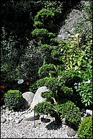 DSC_0859.JPG