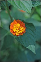 DSC_0861.JPG