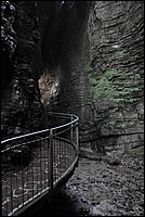 DSC_0909.JPG