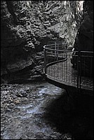 DSC_0966G.jpg