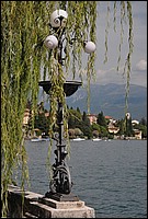 DSC_1011D.jpg