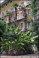 DSC_1049.JPG