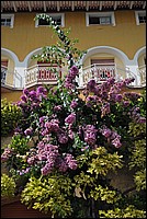 DSC_1059.JPG