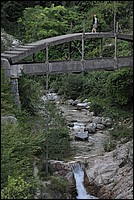 DSC_1206.JPG