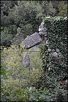 DSC_1218.JPG